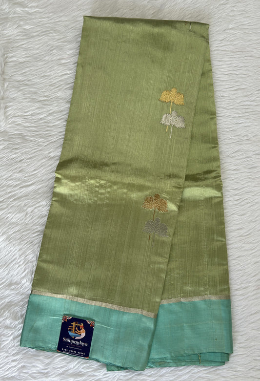 Chanderi Pattu Saree Parrot Green colored saree complemented with a Ice Blue Color Plain border - Sampradaya Designer Studio