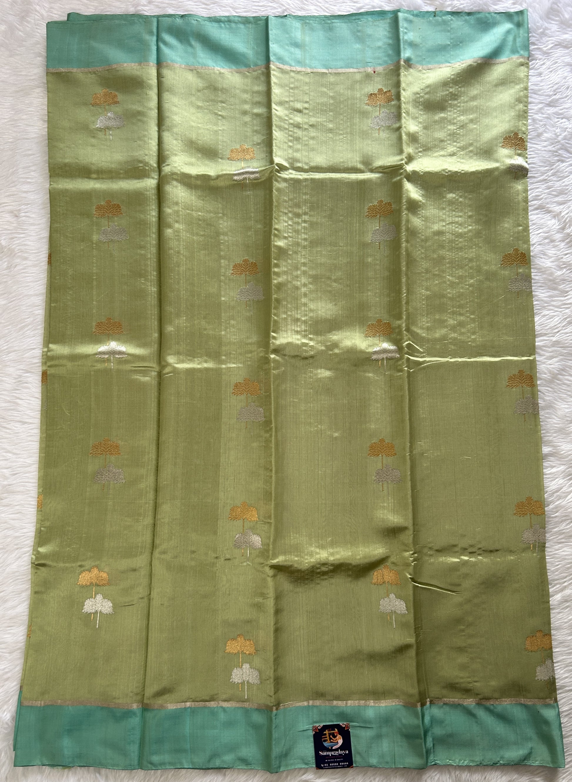 Chanderi Pattu Saree Parrot Green colored saree complemented with a Ice Blue Color Plain border - Sampradaya Designer Studio