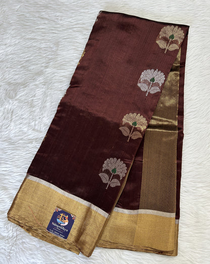 Chanderi Pattu Saree Brown colored saree complemented with a Gold Zari border - Sampradaya Designer Studio