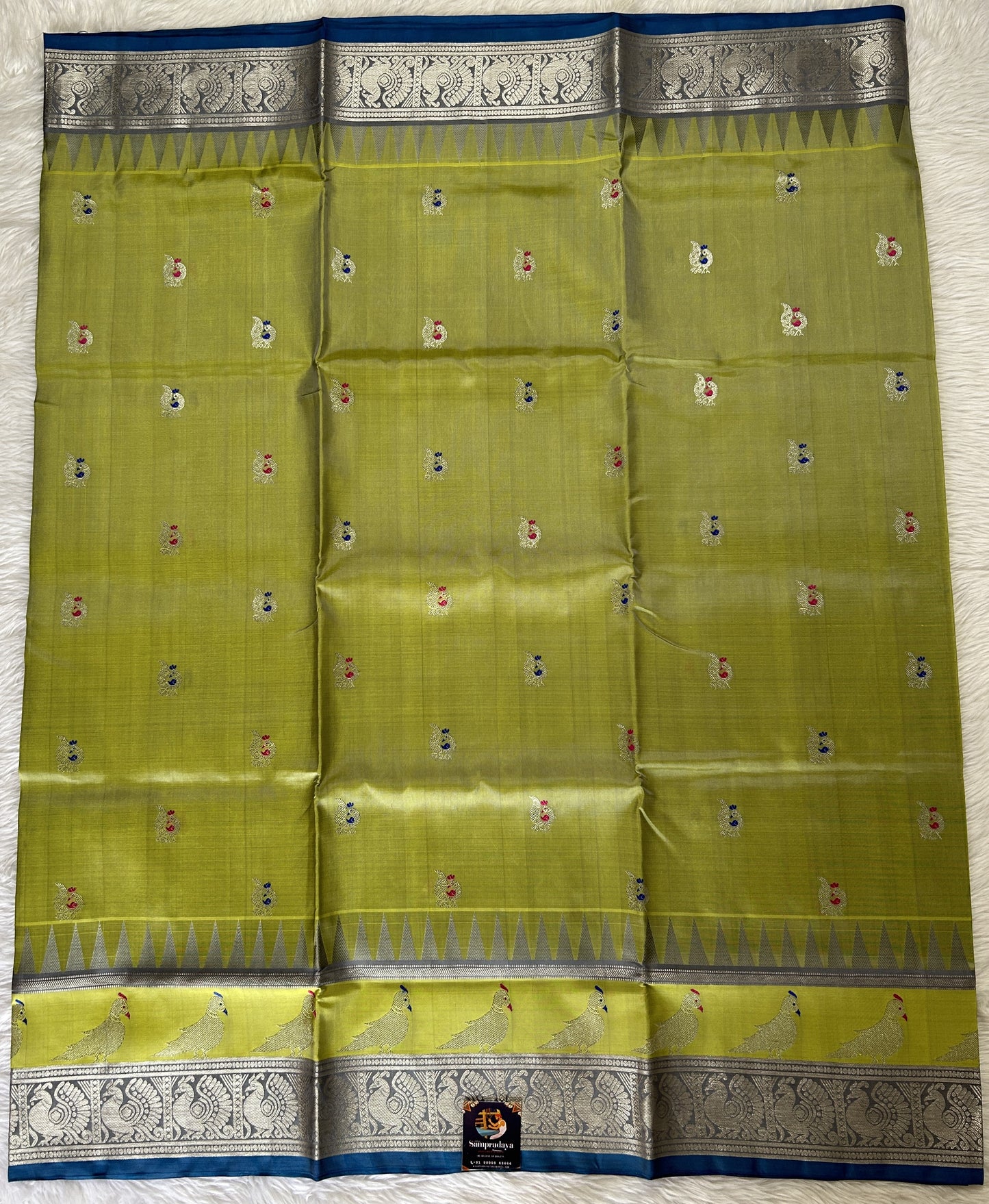 Venkatagiri Pattu Saree Apple Green Colored Complemented With a Pattu Teal Blue Kanchi Border - Sampradaya Designer Studio