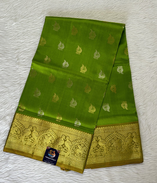 Venkatagiri Pattu Saree Parrot Green Colored Complemented With a Pattu Yellowish Green Kanchi Border - Sampradaya Designer Studio