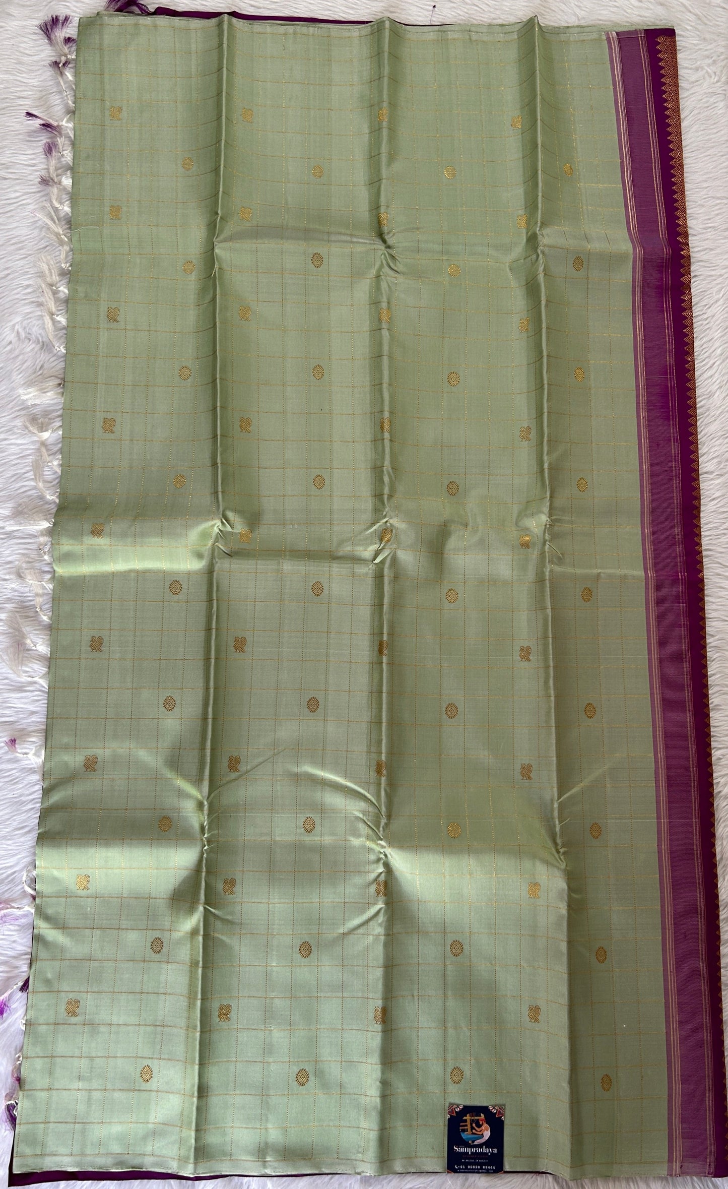 Kanjivaram Festive Silk Saree Pastel Green colored Saree complemented with a borderless Saree. - Sampradaya Designer Studio