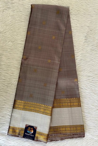 Kanjivaram Festive Silk Saree Gray colored Saree complemented with a Kanchi Gap border. - Sampradaya Designer Studio