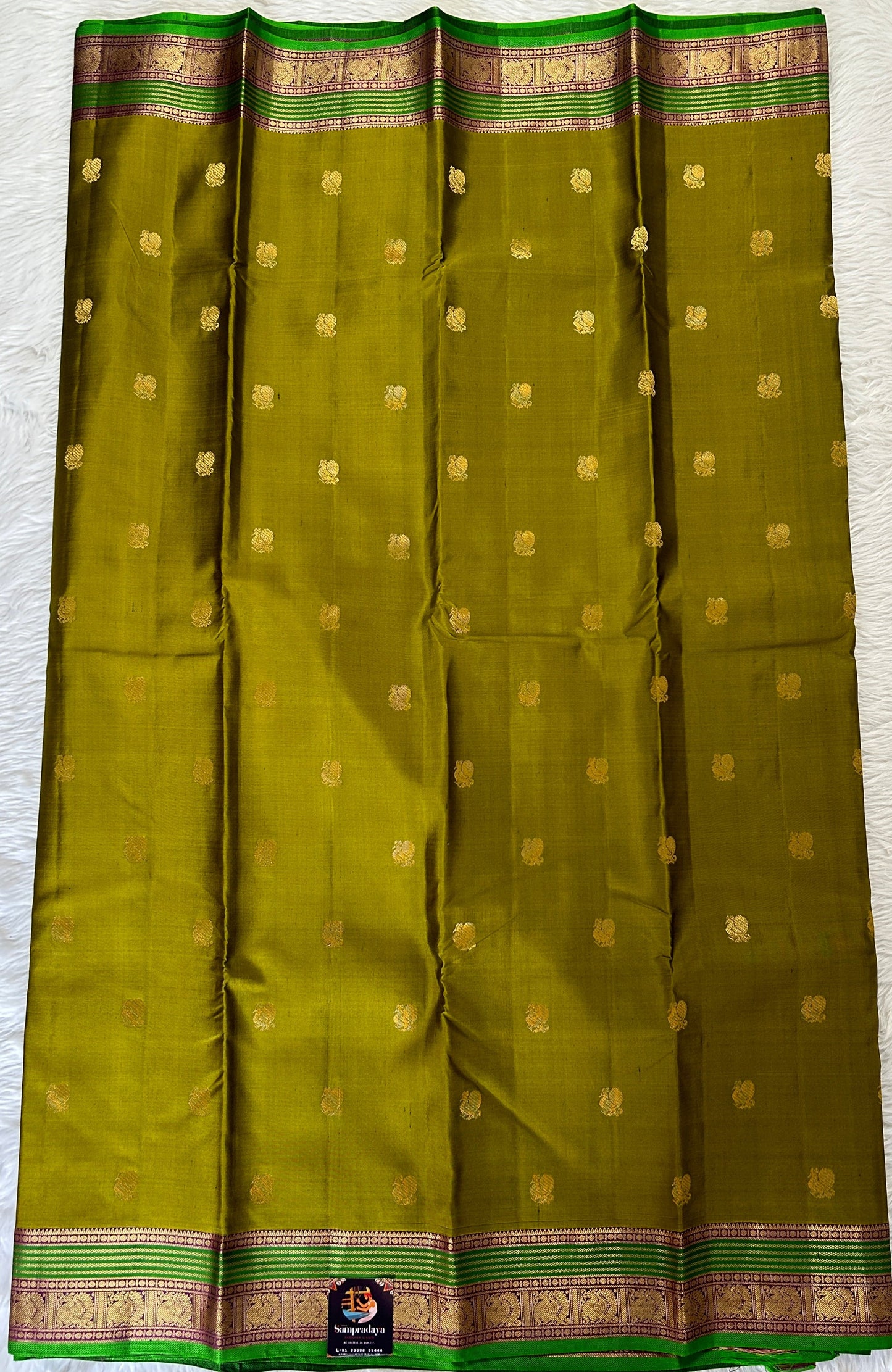 Kanjivaram Festive Silk Saree Mustard Green colored Saree complemented with a Purple Colored Kanchi border. - Sampradaya Designer Studio