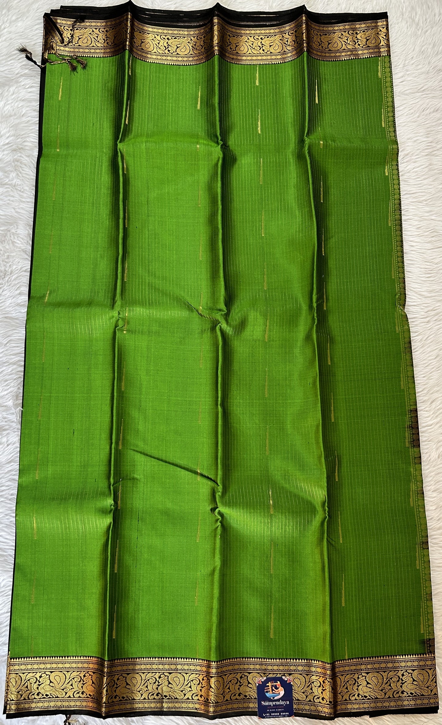 Kanjivaram Festive Silk Saree Parrot Green colored Saree complemented with a Black Color Kanchi Border. - Sampradaya Designer Studio