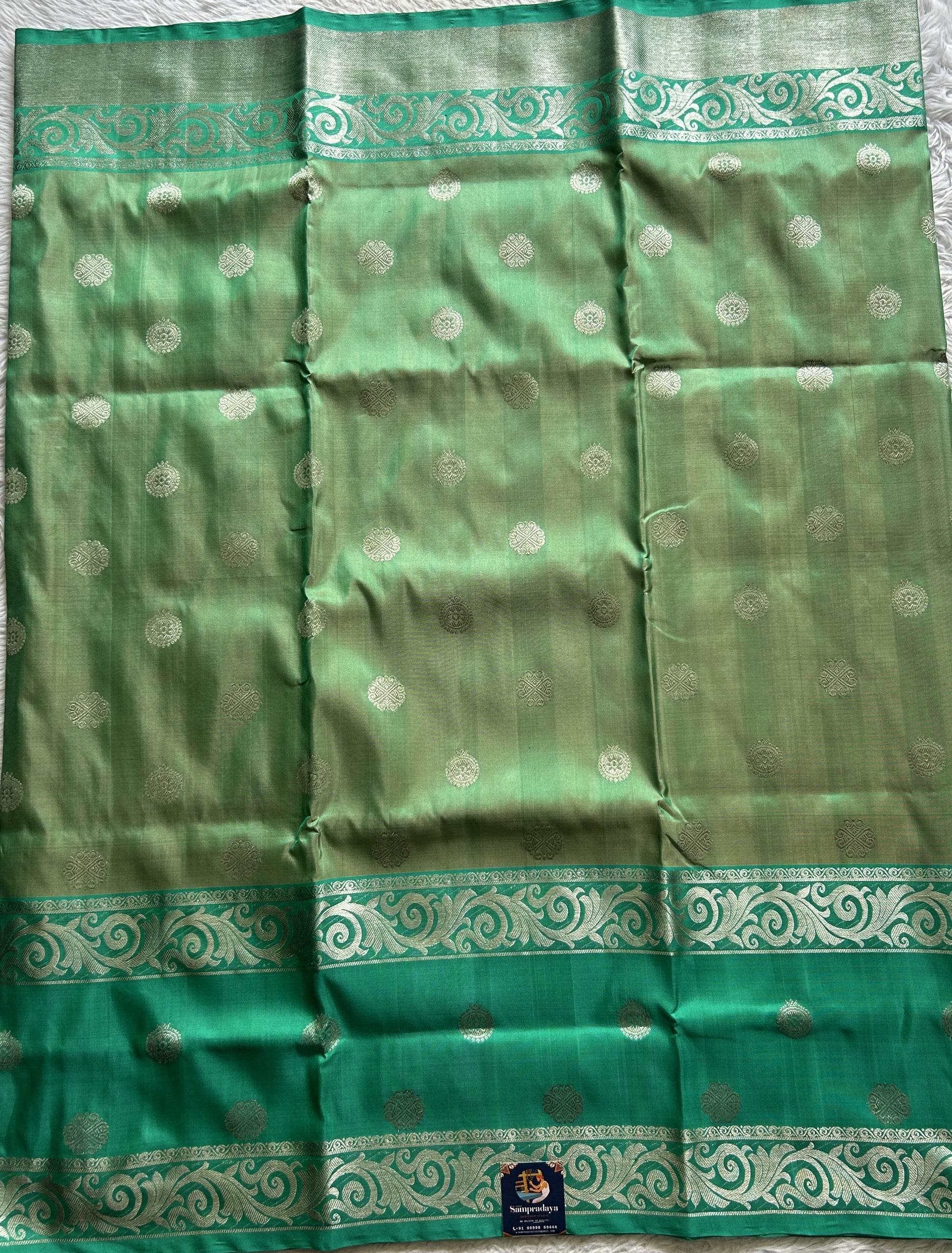 Venkatagiri Pattu Saree Pista Green Complemented With a Sea Green Color Zari Border - Sampradaya Designer Studio