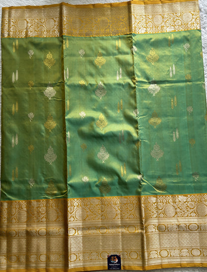 Venkatagiri Pattu Saree Light Green Colored Complemented With a Mustard Yellow Zari Border - Sampradaya Designer Studio