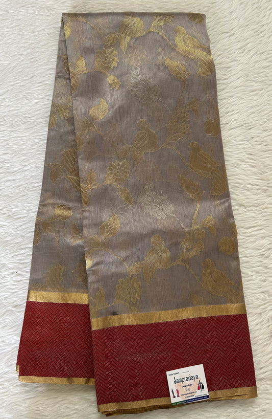 Chanderi Pattu Saree Gray colored saree complemented with a Red colored Gold Zari border - Sampradaya Designer Studio