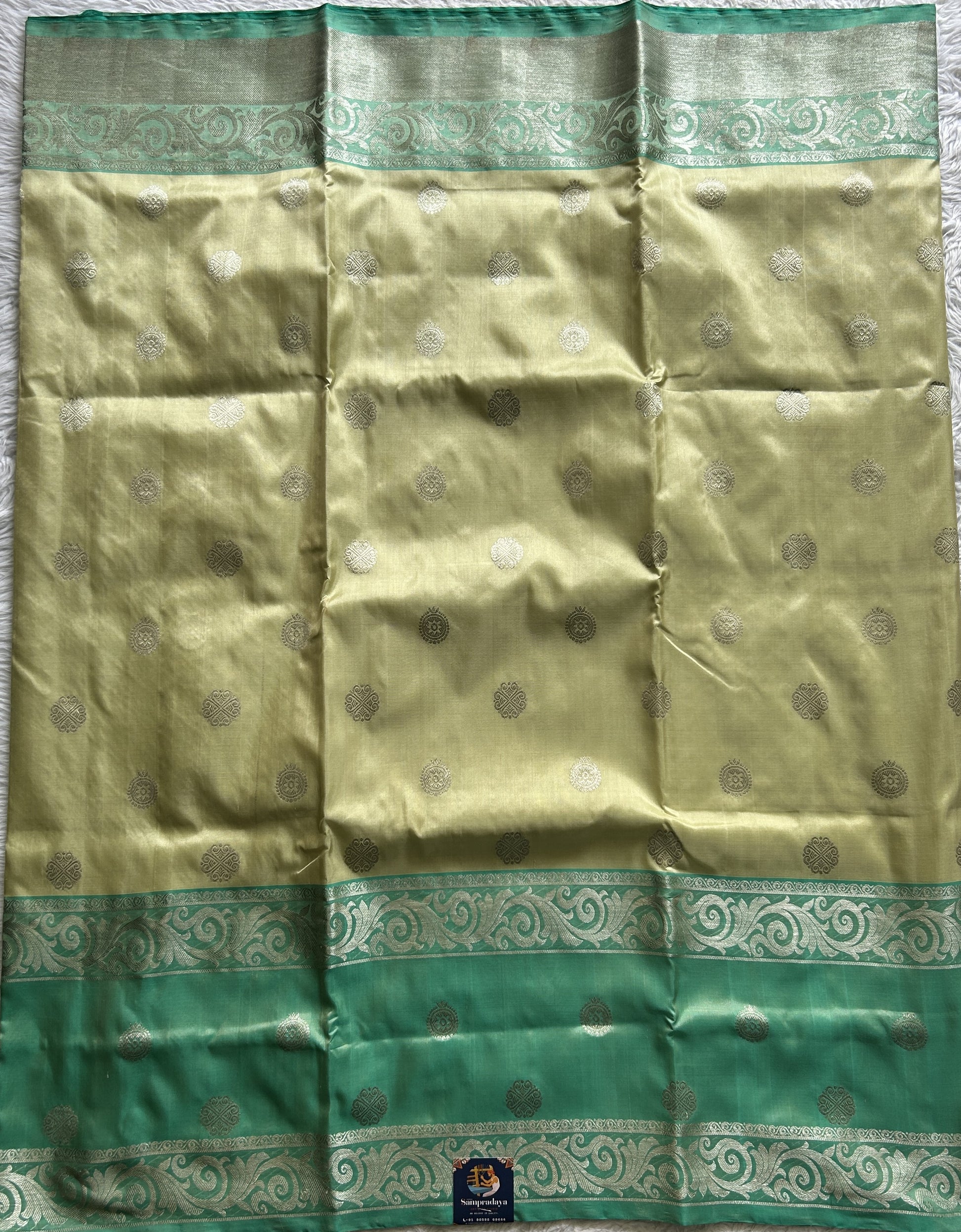 Venkatagiri Pattu Saree Pista Green Colored Complemented With a Zari Border - Sampradaya Designer Studio