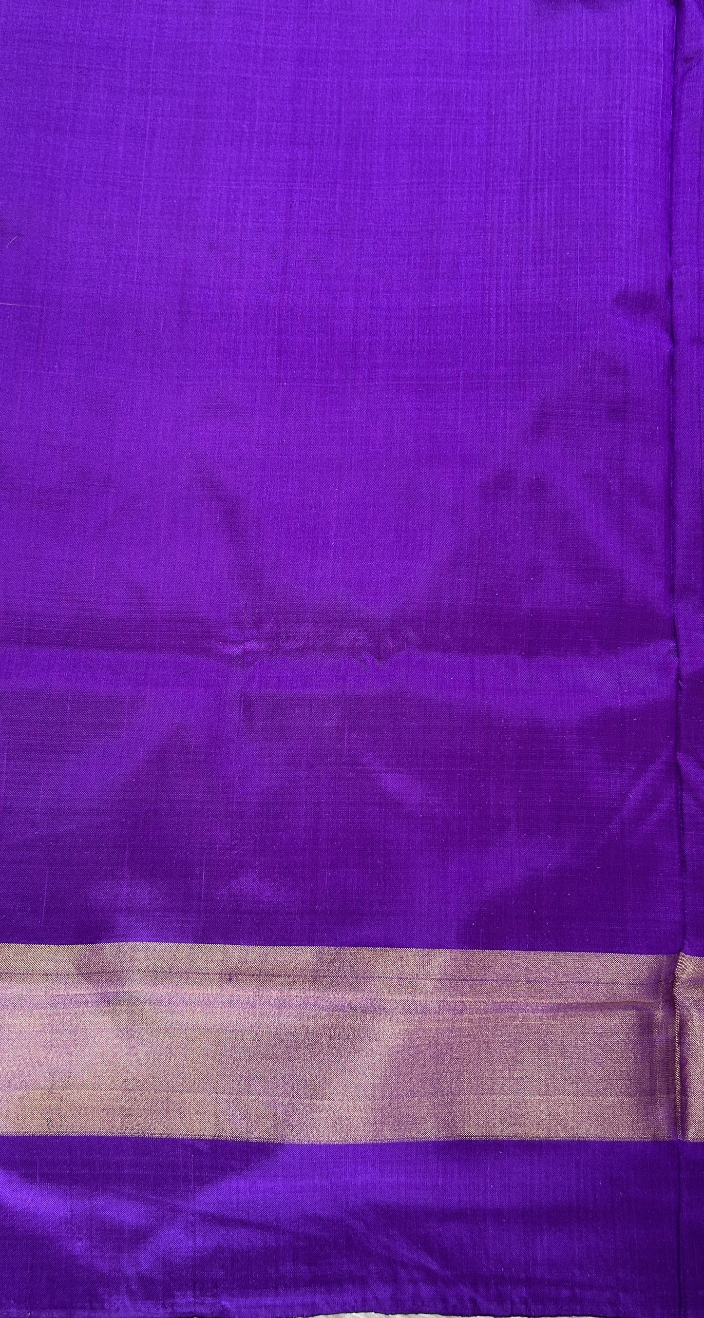 Ikkat Pattu Saree Blue colored Saree complemented with a Purple Colored Plain border. - Sampradaya Designer Studio