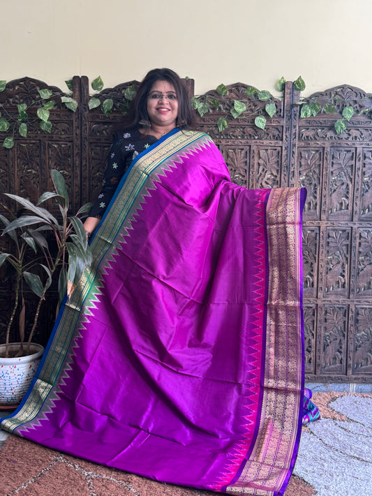 Ikkat Pattu Saree Purple colored complemented with a Violet Kanchi border.