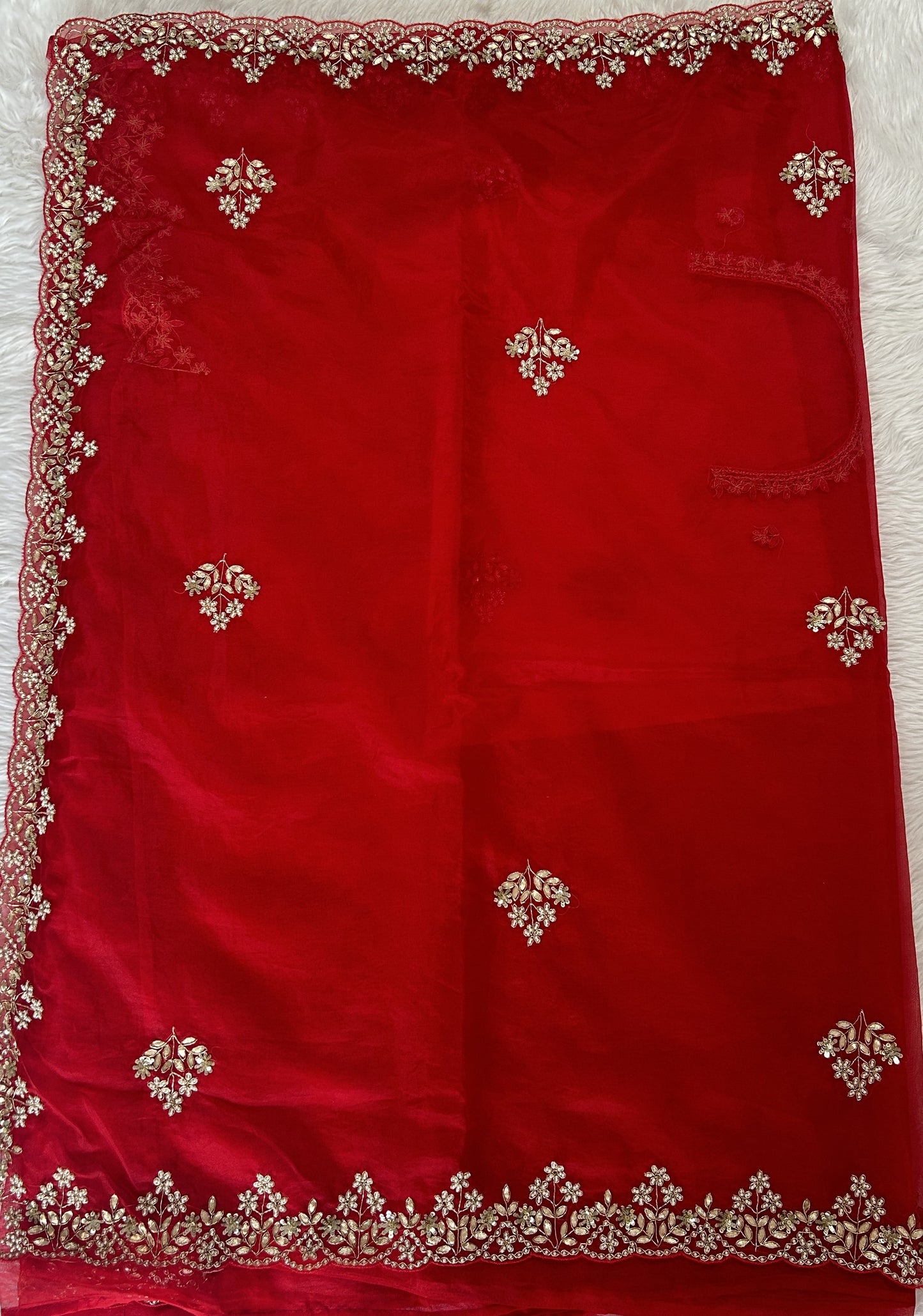 Tissue Organza Designer Saree Red colored Saree complemented with a Handcrafted border. - Sampradaya Designer Studio