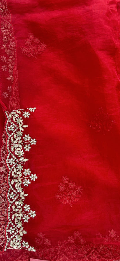 Tissue Organza Designer Saree Red colored Saree complemented with a Handcrafted border. - Sampradaya Designer Studio