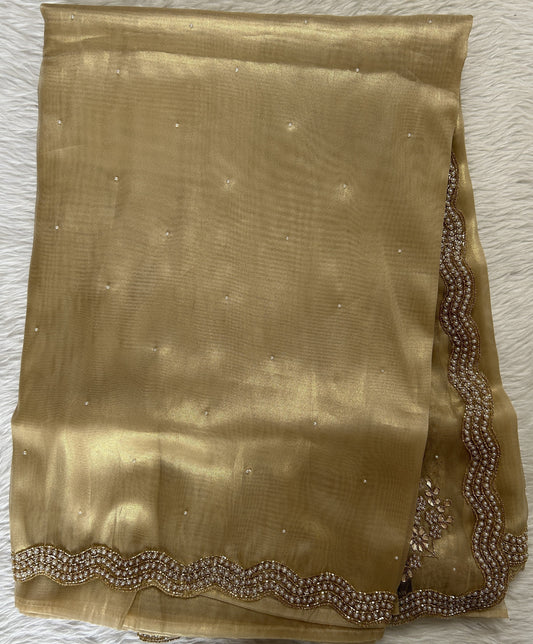 Tissue Organza Designer Saree Beige colored Saree complemented with a Handcrafted border. - Sampradaya Designer Studio