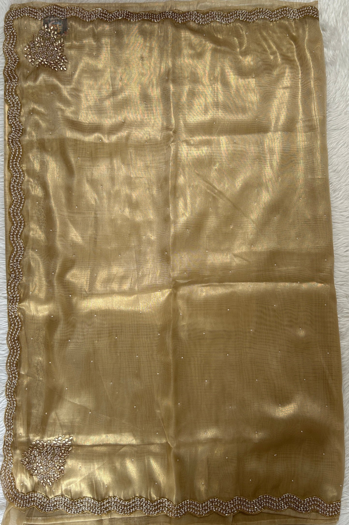 Tissue Organza Designer Saree Beige colored Saree complemented with a Handcrafted border. - Sampradaya Designer Studio