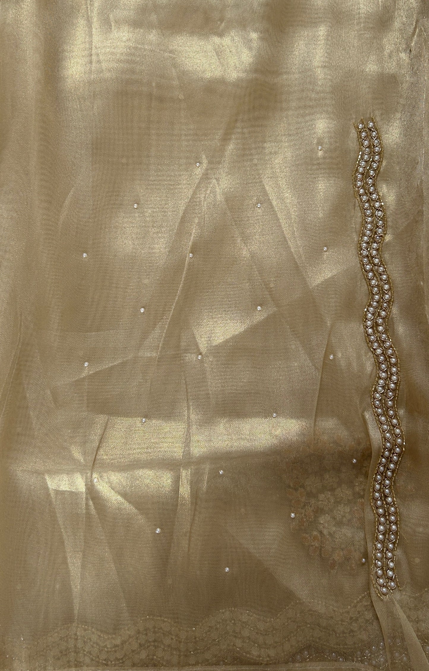 Tissue Organza Designer Saree Beige colored Saree complemented with a Handcrafted border. - Sampradaya Designer Studio