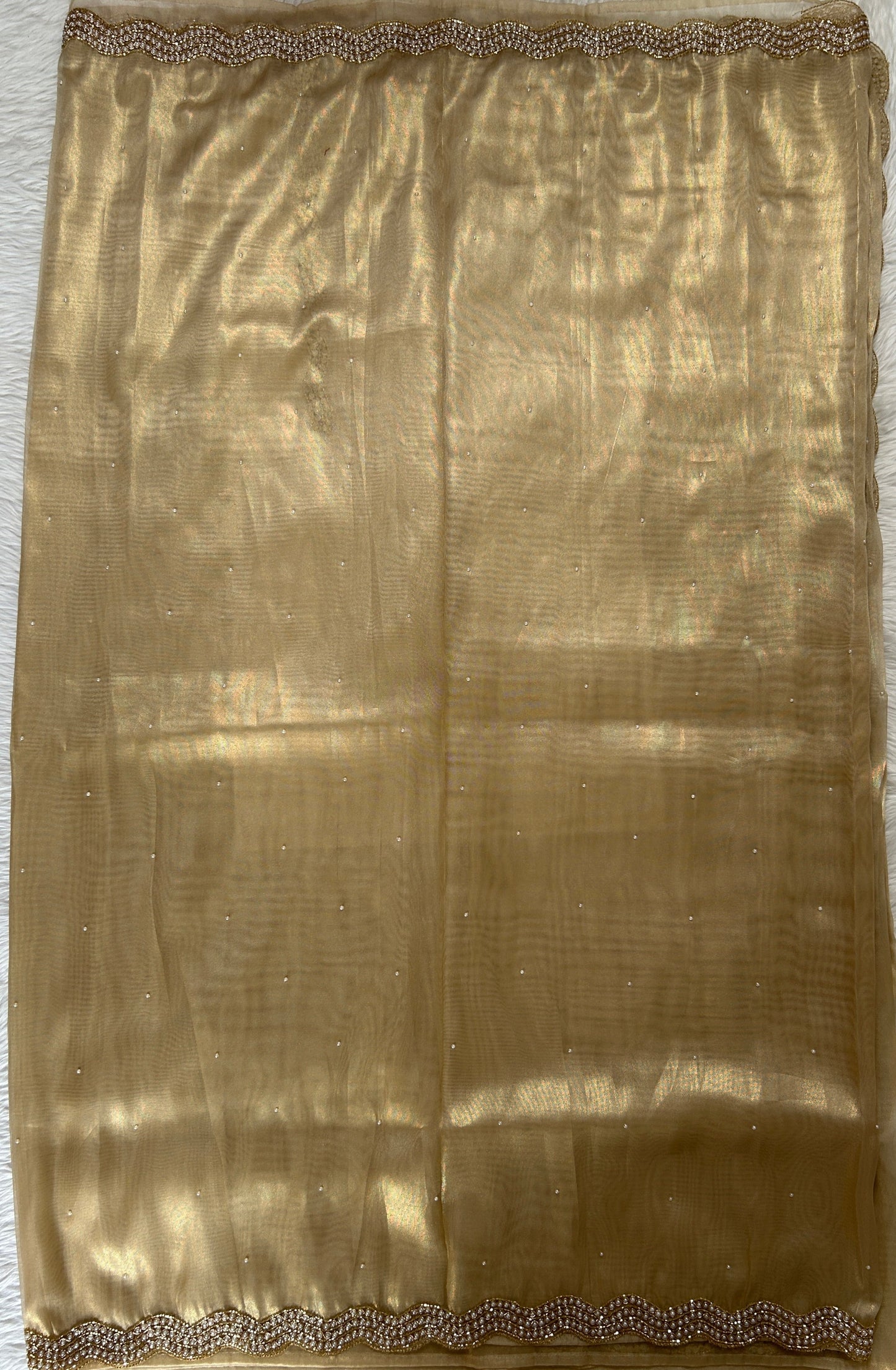 Tissue Organza Designer Saree Beige colored Saree complemented with a Handcrafted border. - Sampradaya Designer Studio