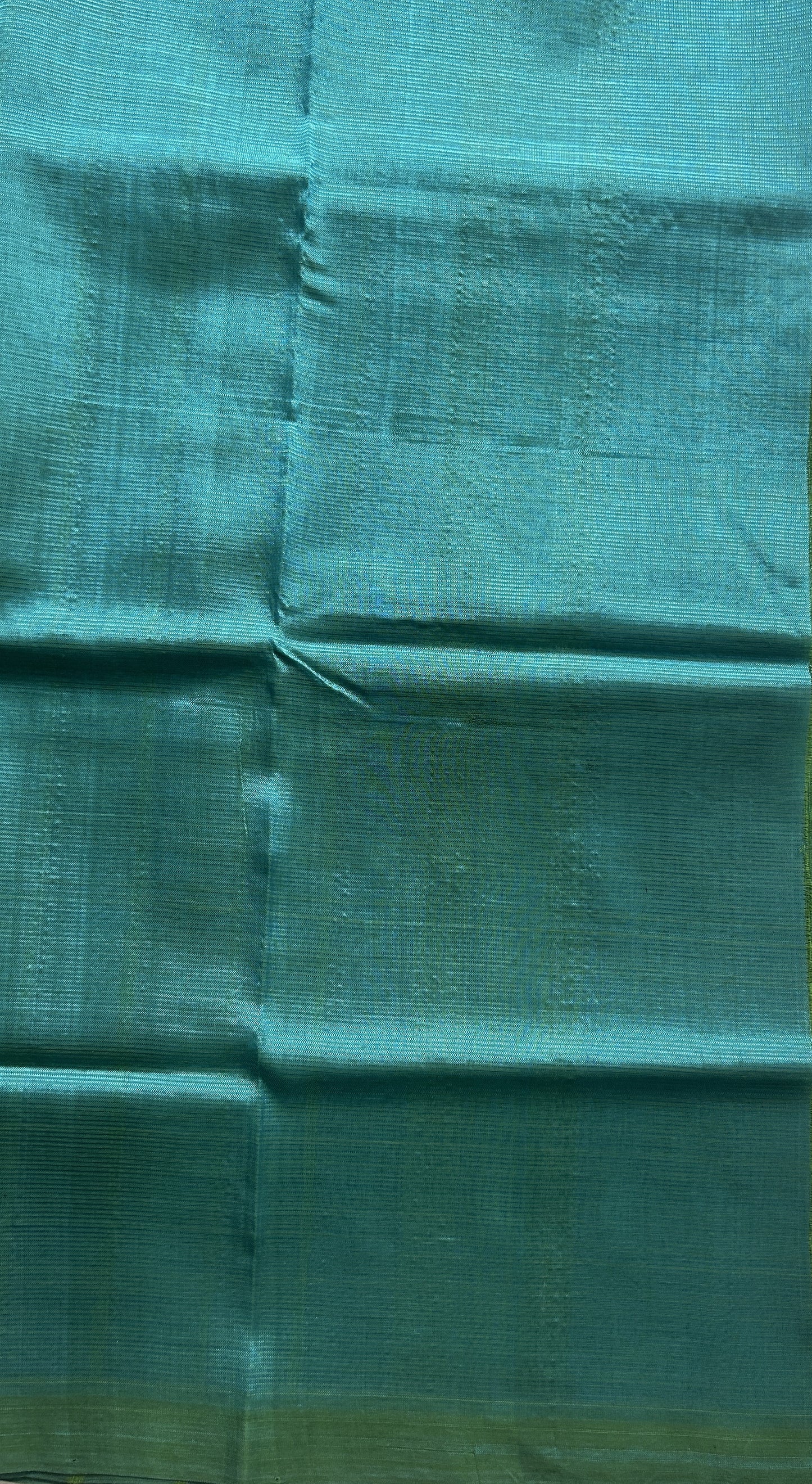 Mangalagiri Plain Pattu Saree Parrot Green colored complemented with a No Border.