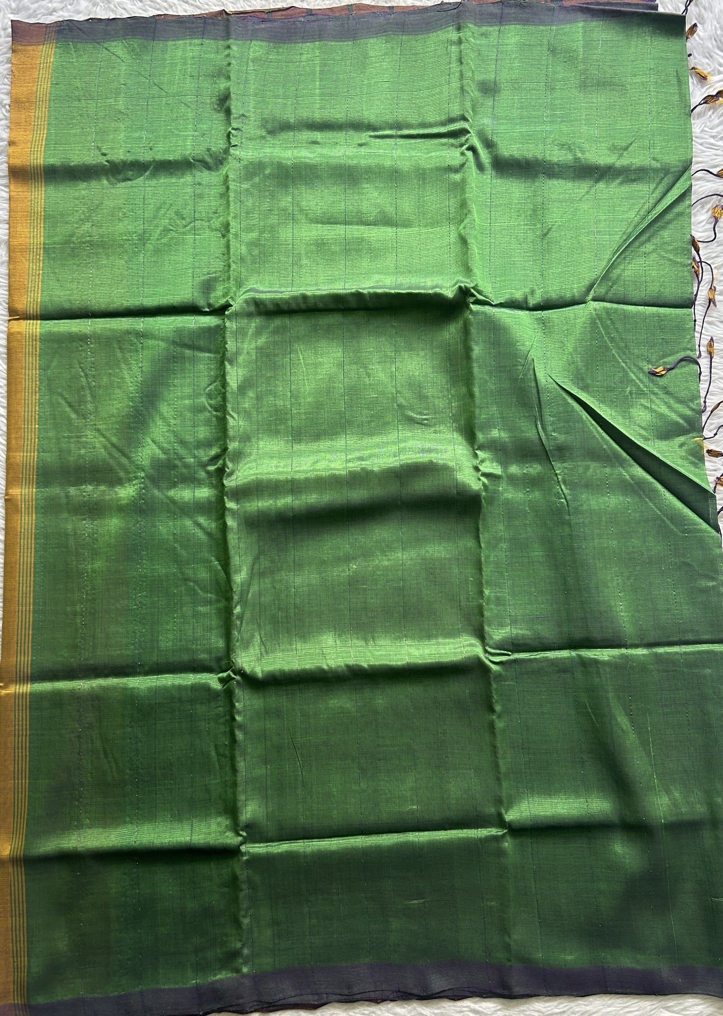 Mangalagiri Plain Pattu Saree Green colored complemented with a No Border.