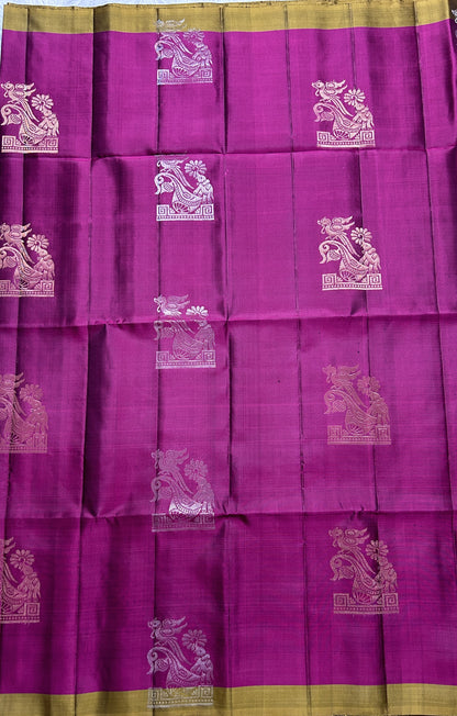 Kanjivaram Festive Soft Silk Saree Purple colored complemented with a Gold Plain border. - Sampradaya Designer Studio