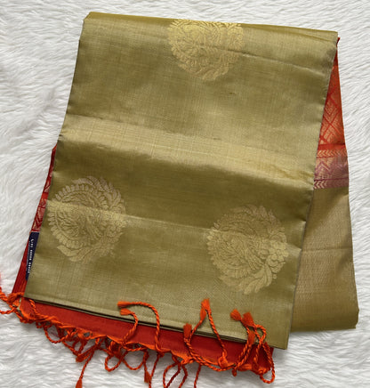 Kanjivaram Festive Soft Silk Saree Cream colored complemented with a borderless Saree. - Sampradaya Designer Studio