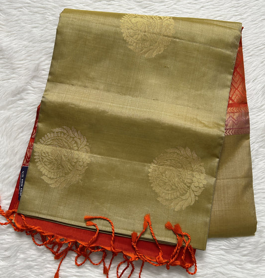 Kanjivaram Festive Soft Silk Saree Cream colored complemented with a borderless Saree. - Sampradaya Designer Studio