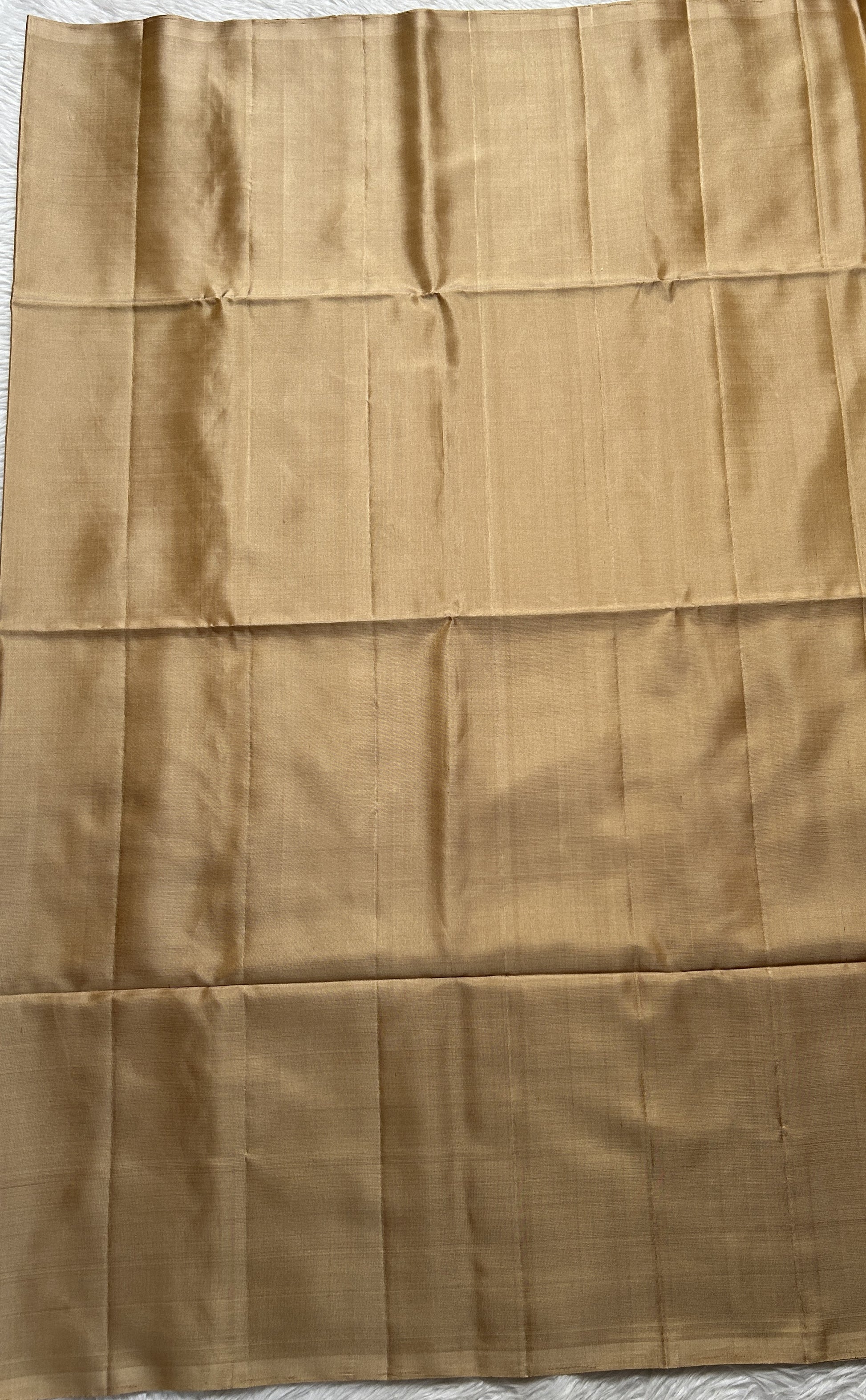 Kanjivaram Festive Soft Silk Saree Beige colored complemented with a borderless Saree. - Sampradaya Designer Studio