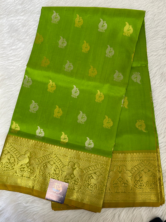 Venkatagiri Pattu Saree Parrot Green Colored Complemented With a Pattu Gold Color Border - Sampradaya Designer Studio