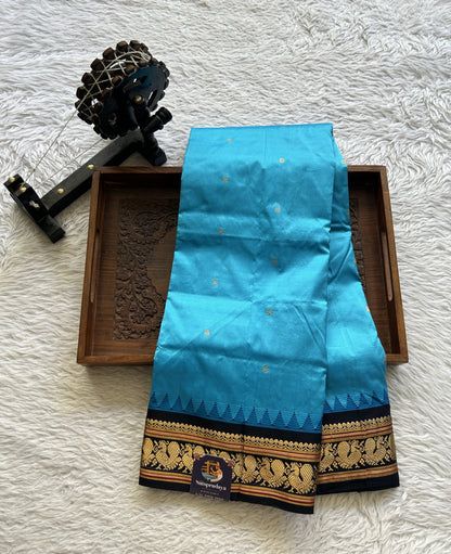 Narayanpet Silk Saree Sky Blue Colored Complemented with a Navy Blue Zari Border.