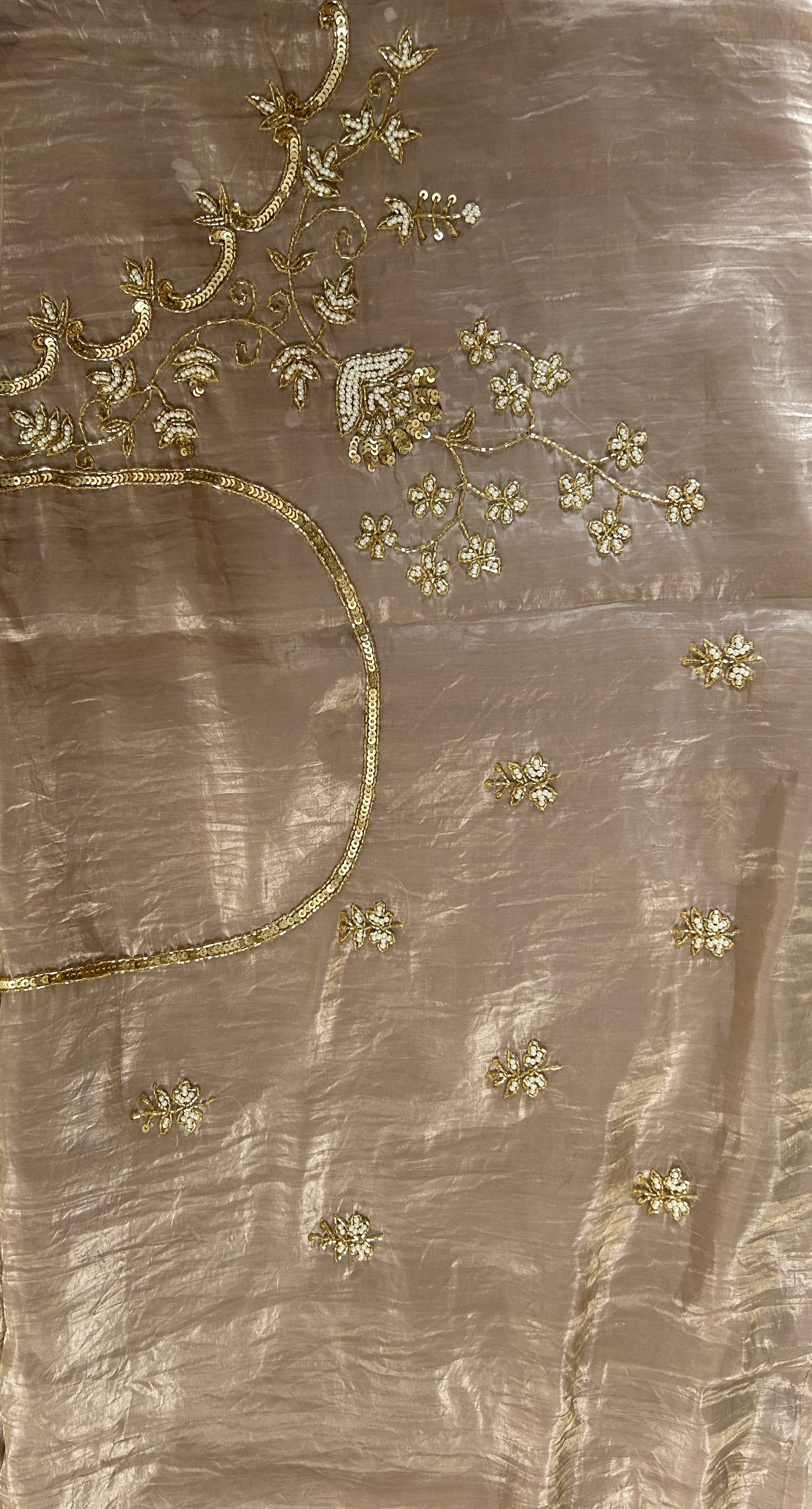 Inox Silk Saree Beige Colored Complemented with a Hand Embroidery Border. - Sampradaya Designer Studio