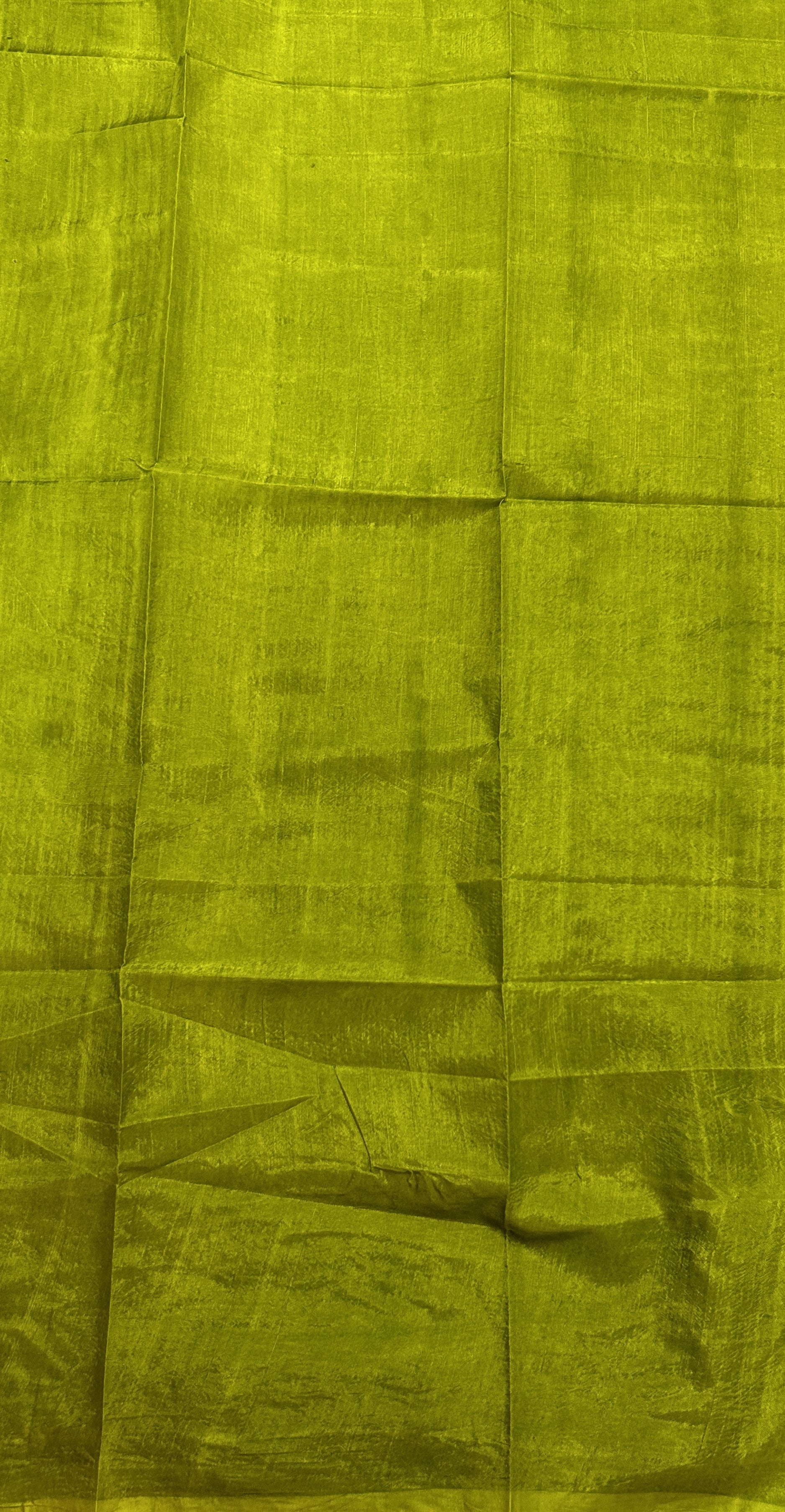 Bandhani Saree Parrot Green Colored Complemented with a Zari Border. - Sampradaya Designer Studio