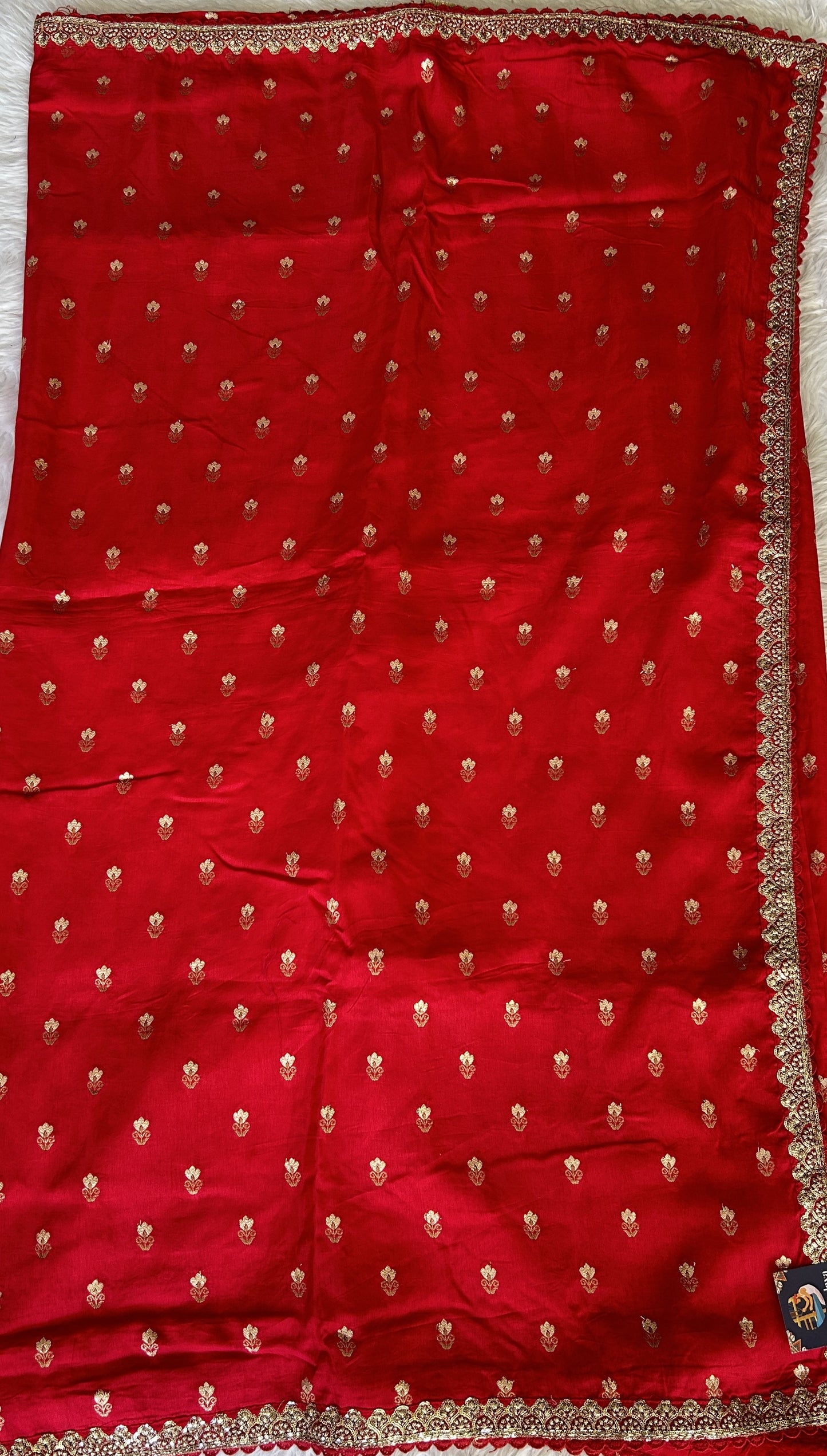 Banarasi Georgette Saree Red Colored Complemented with a Lace border. - Sampradaya Designer Studio