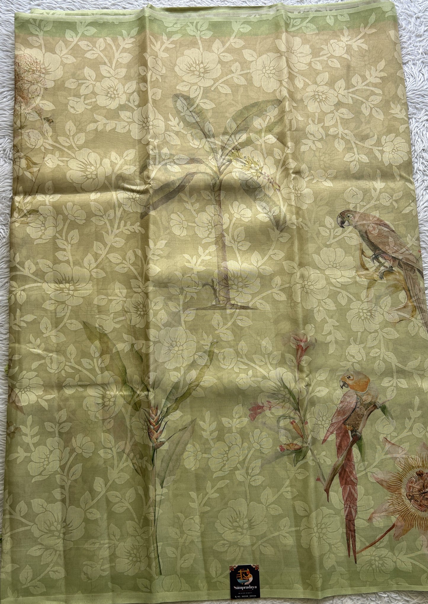 Banarasi Tissue Fancy Saree Light Green Colored Complemented with a Borderless.